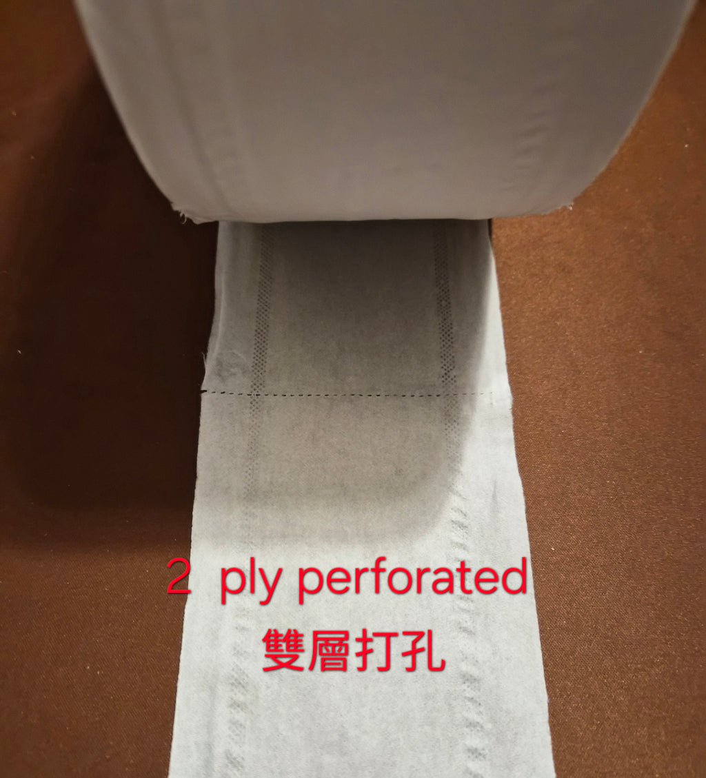 2卷雙層8吋大卷裝可撕式衛生紙，呎吋為3.5英吋 x 550英呎
