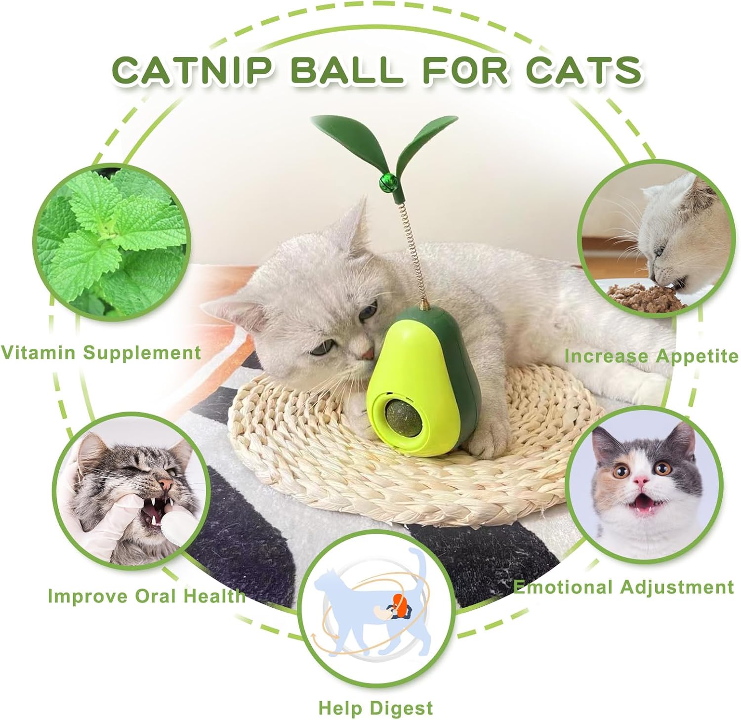 Cat Toy Avocado Tumbler & Catnip Ball Interactive
